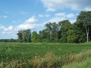 60 Acres with 45+/- tillable acres, 20+/- acres just coming out of CRP for 2013 planting.  

- Nice mix of tillable and wooded acres.
- Full crop rights available in 2013.
- Frontage on two roads.
- Only 15 minutes to Richmond, IN.
- 1 Acre managed pond.
- Northeastern Wayne Schools. - 60 Acre Complete Farm Unit